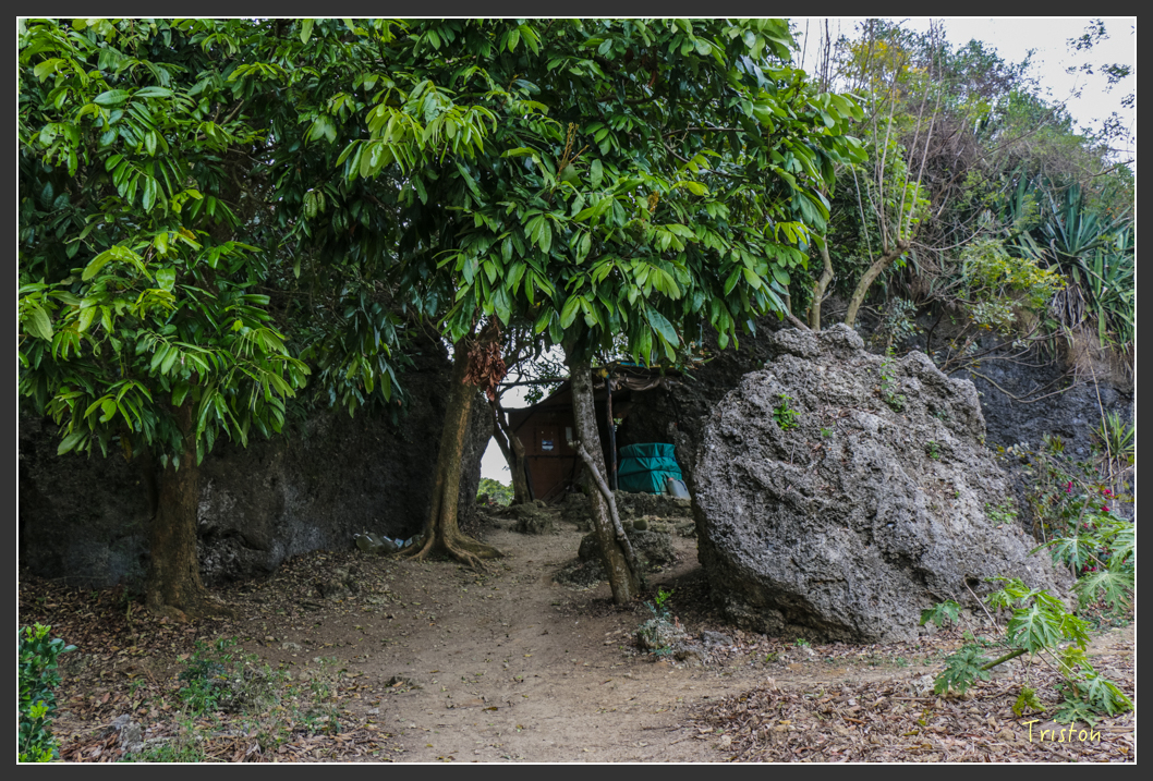 IMG_3186.jpg - 20160220 小崗山健行步道