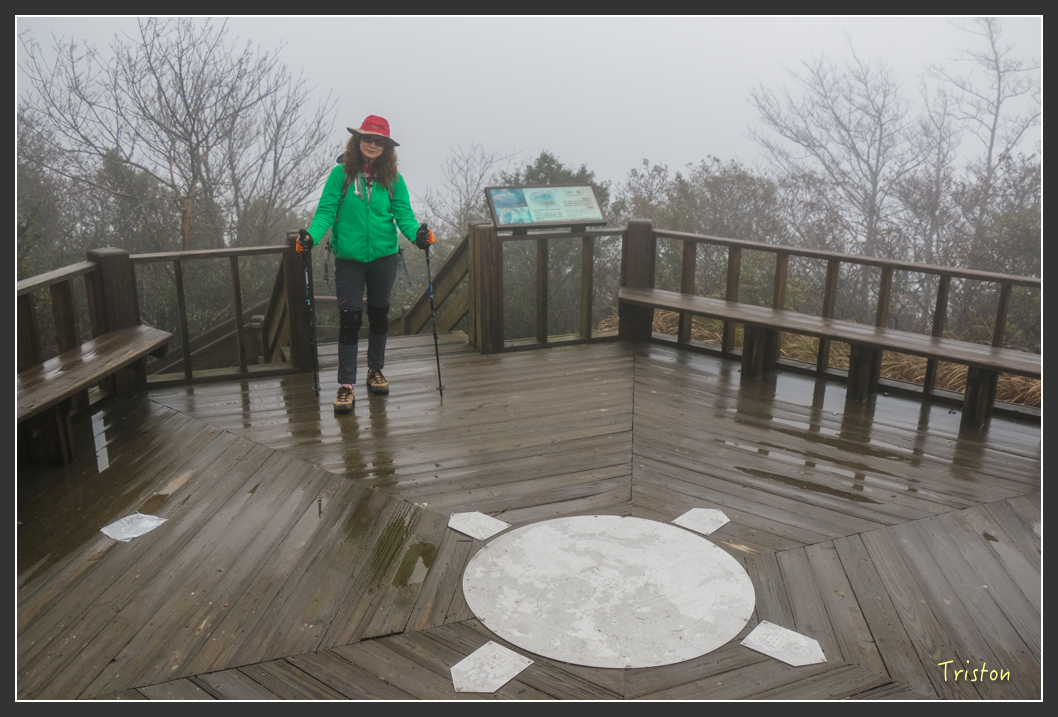 IMG_3327.jpg - 20160227 觀霧森林步道