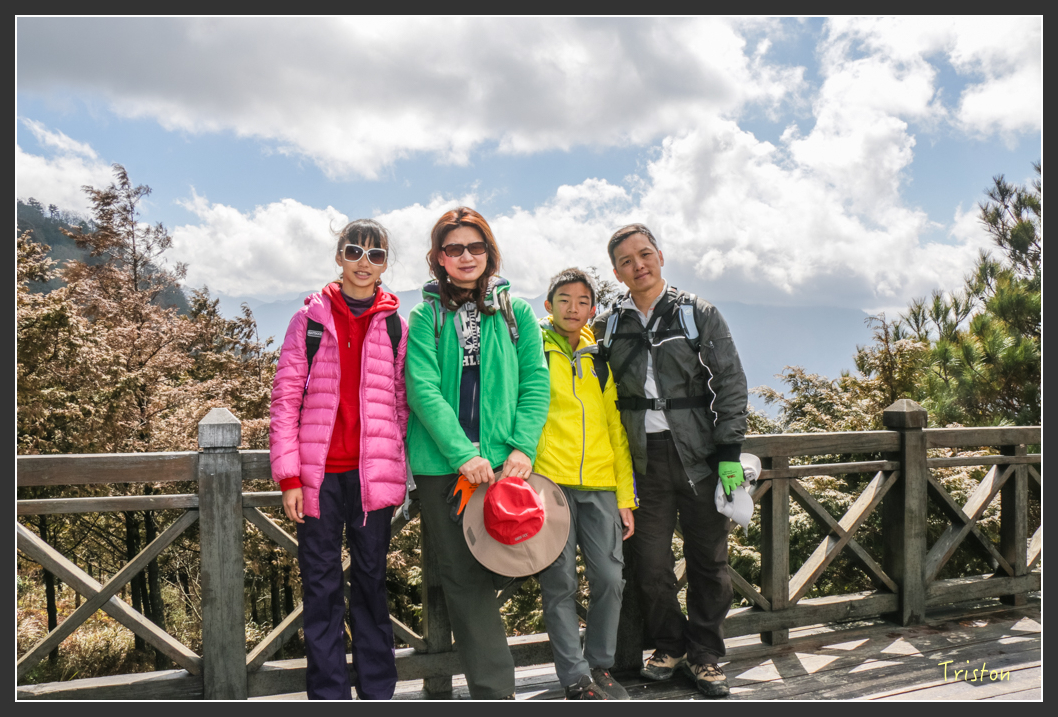 IMG_3379.jpg - 20160227 觀霧森林步道