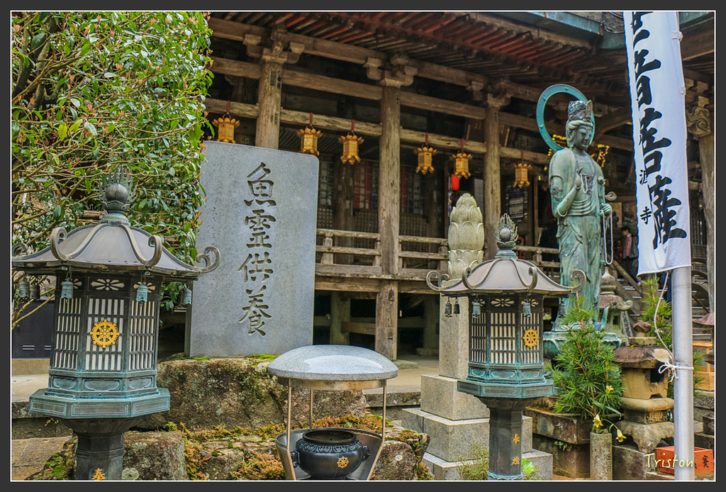 IMG_5669.jpg - 20160323 日本熊野古道健行