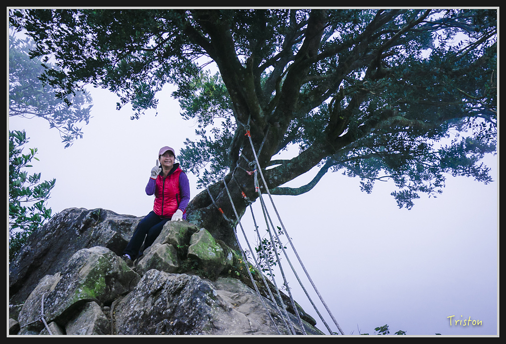 _MG_0697.jpg - 20170114 旗尾山