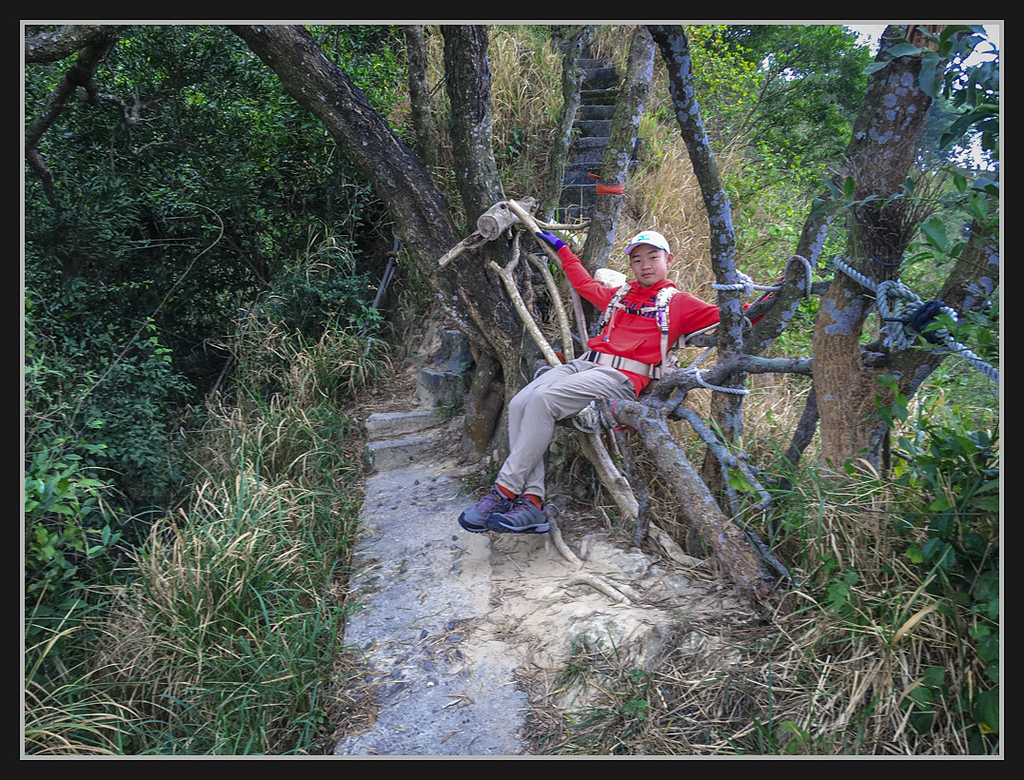IMG_2175.jpg - 20170204 大社觀音山