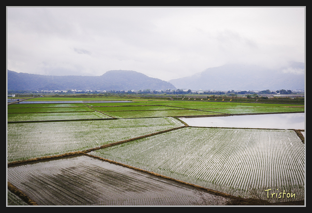 2017-02-27 10.03.54 下午 _MG_0639.jpg - 20170225 玉里瓦拉米