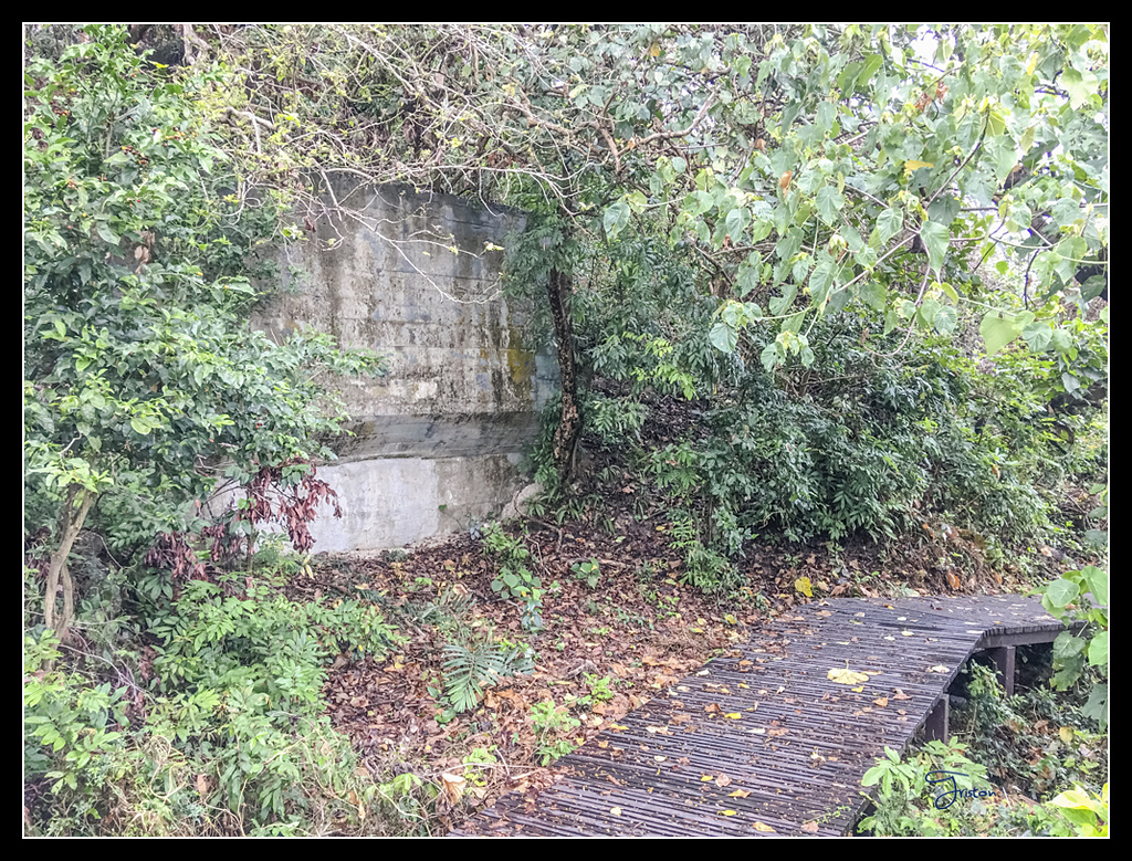 IMG_2732.jpg - 20170422 左營龜山步道、舊城