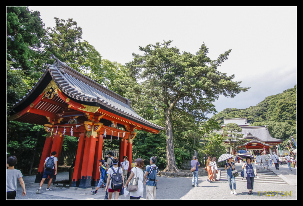 _MG_1578.jpg - 20170702 靜岡東海道之旅
