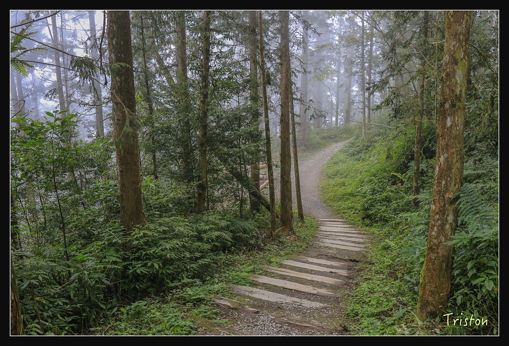 _MG_1114.jpg - 20180127 日湯真山