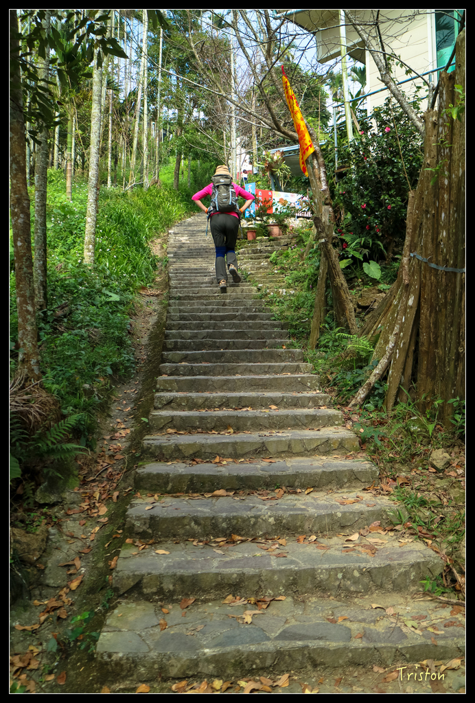 IMG_0753.jpg - 20151115 獨立山步道
