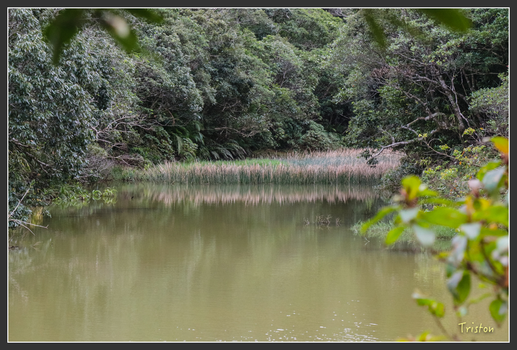 IMG_1429-2.jpg - 20160122 南仁湖、墾丁