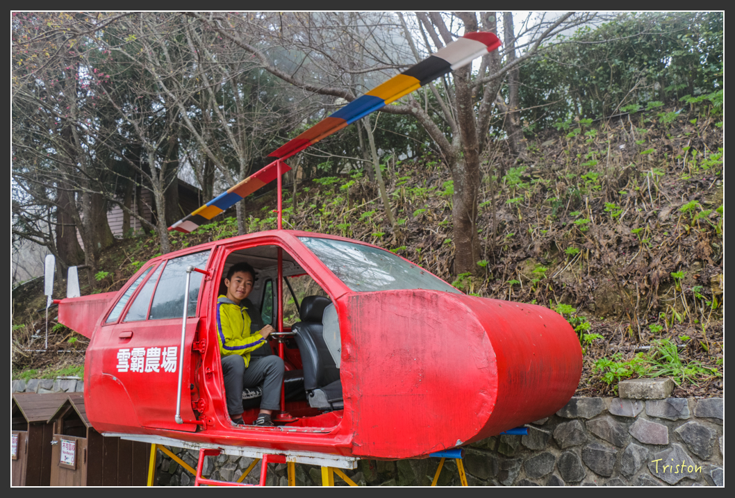 IMG_3434.jpg - 20160227 觀霧森林步道