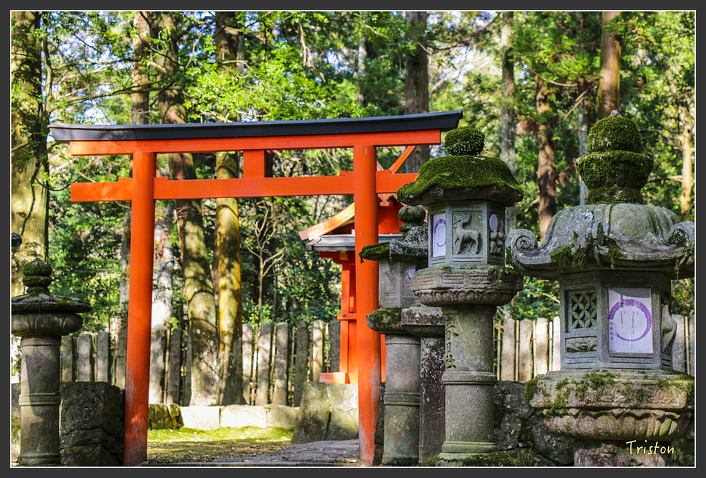 IMG_4025.jpg - 20160323 日本熊野古道健行