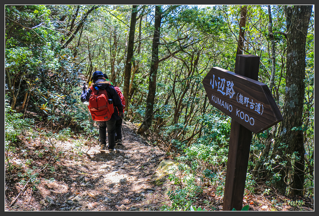 IMG_4758.jpg - 20160323 日本熊野古道健行