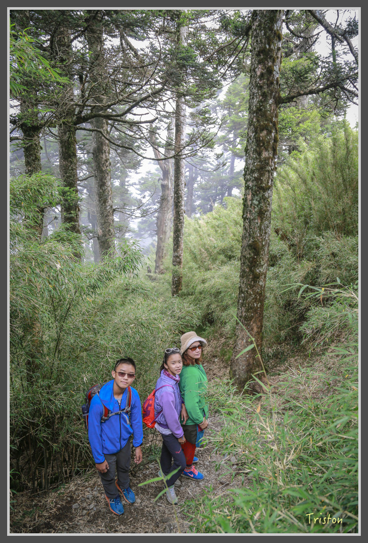 JH1A0224.jpg - 20160806 小奇萊步道、清境國小