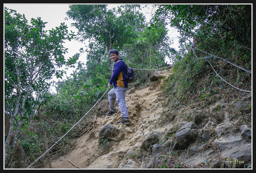 _MG_0639.jpg - 20170114 旗尾山
