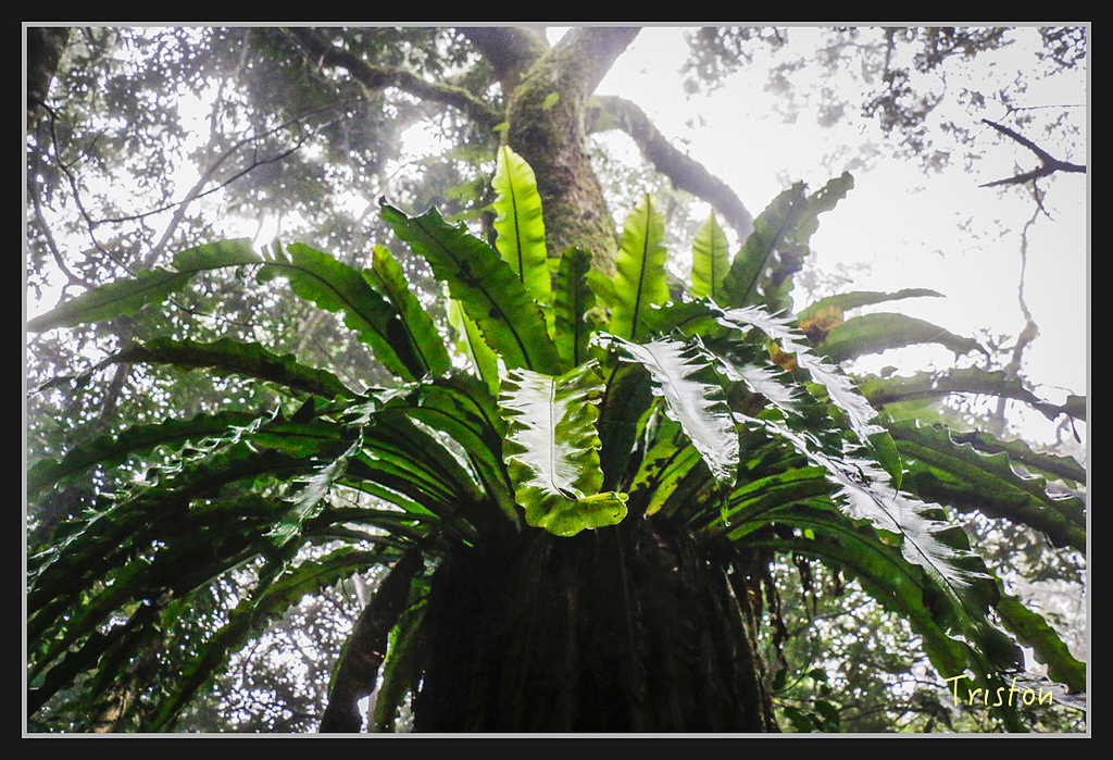2017-02-27 10.03.53 下午 _MG_0361.jpg - 20170225 玉里瓦拉米