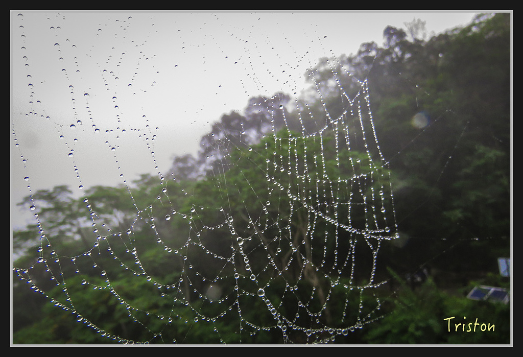 2017-02-27 10.04.56 下午 IMG_1245.jpg - 20170225 玉里瓦拉米