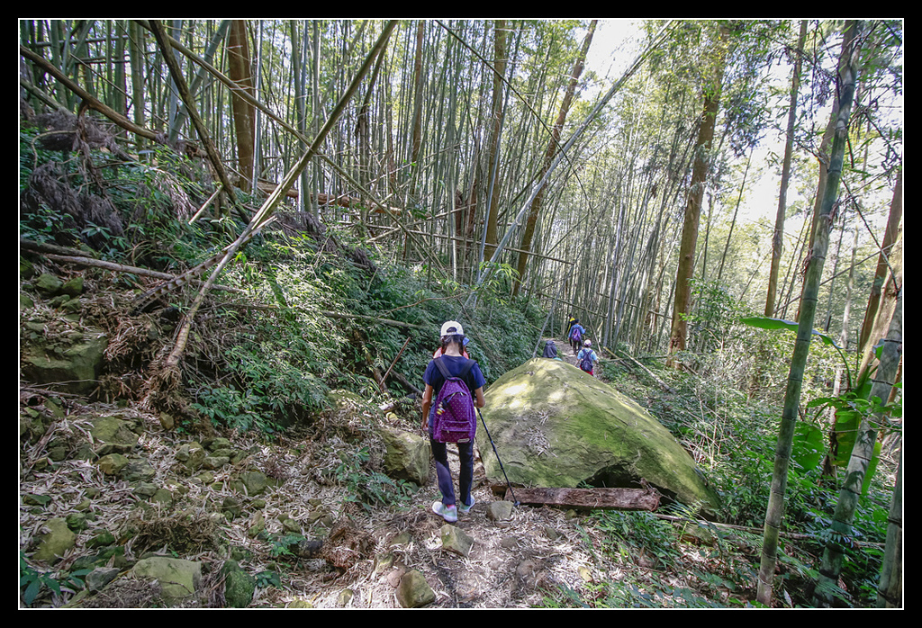 _MG_0122.jpg - 20170408 瑞太古道