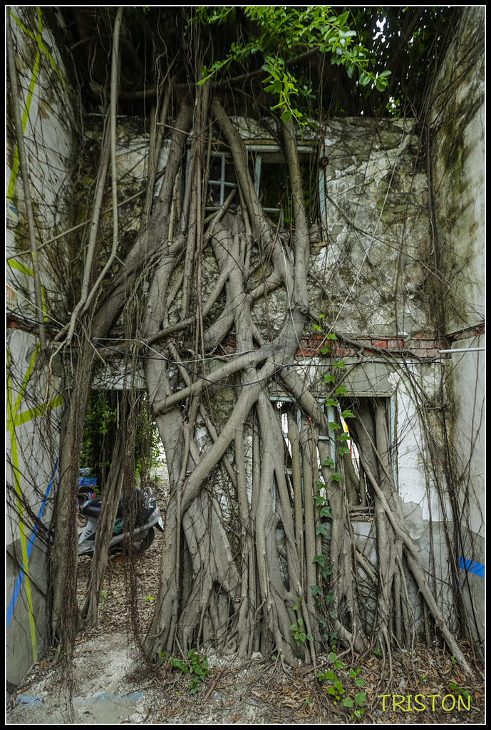 _H1A8610.jpg - 20171008 林鳳營車站