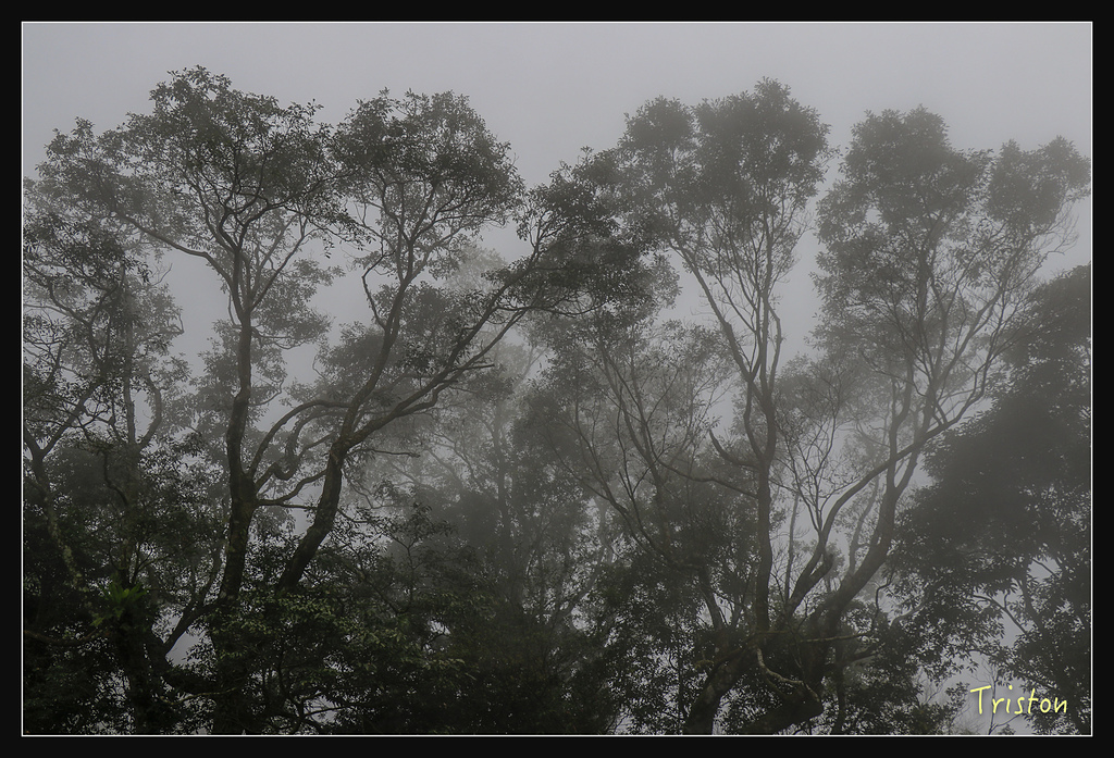 _MG_1117.jpg - 20180127 日湯真山