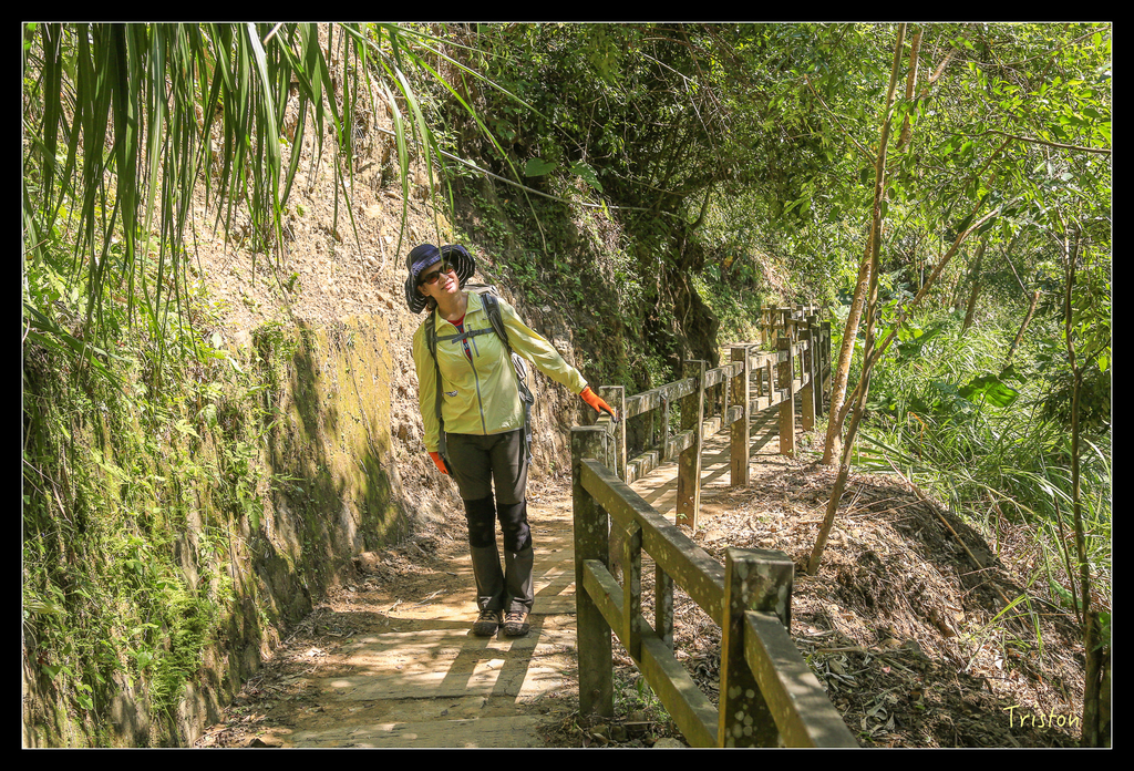 JH1A9829.jpg - 20151005 竹坑溪步道