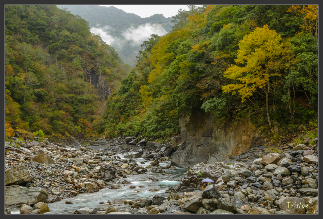 JH1A1156.jpg - 20151221 新竹秀巒賞楓