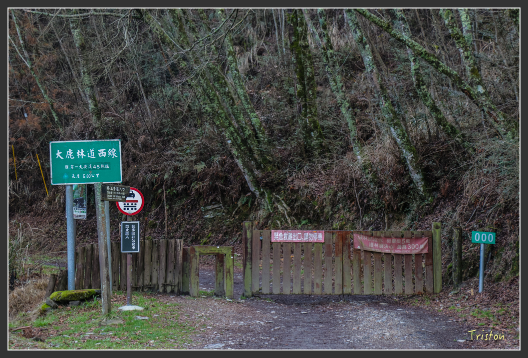 IMG_3334.jpg - 20160227 觀霧森林步道