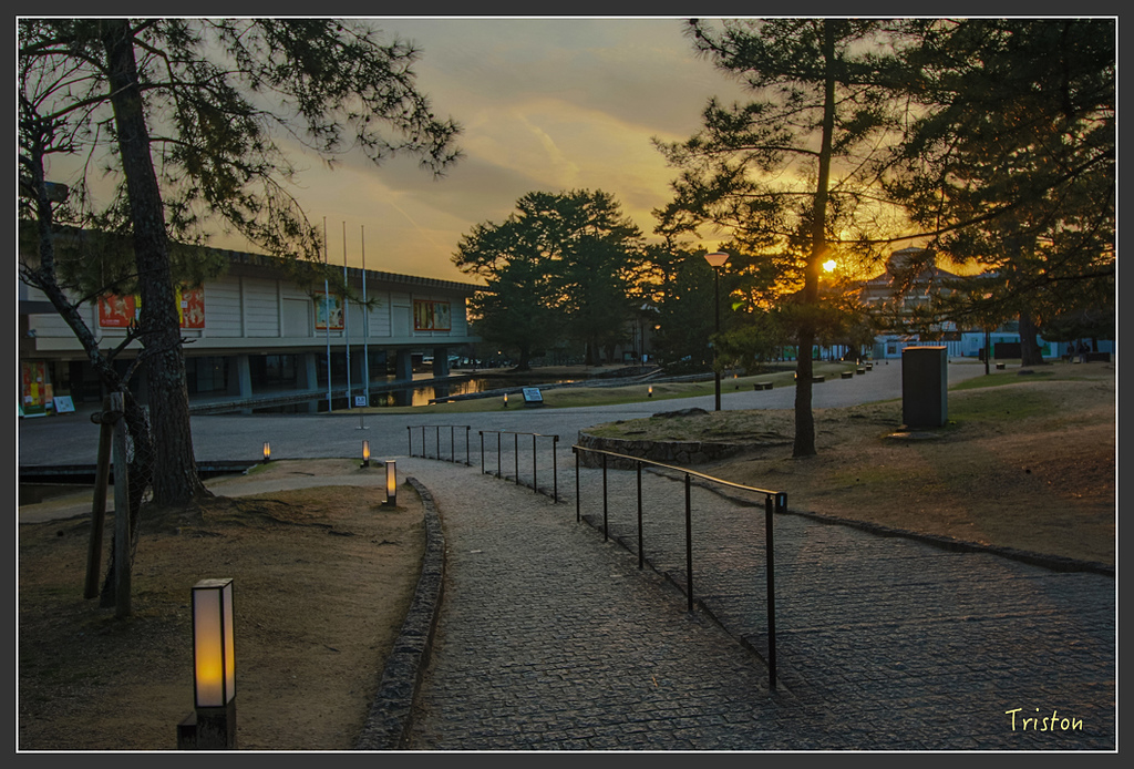 IMG_4257.jpg - 20160323 日本熊野古道健行