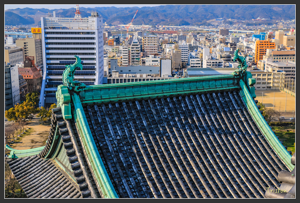 IMG_6001.jpg - 20160323 日本熊野古道健行