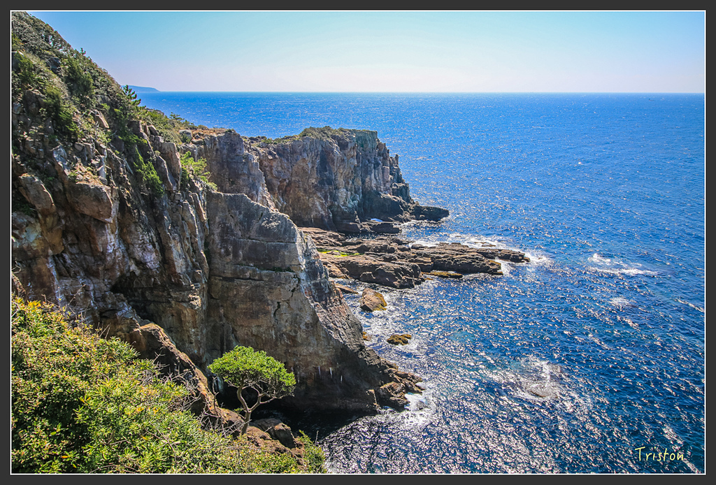 IMG_5908.jpg - 20160323 日本熊野古道健行