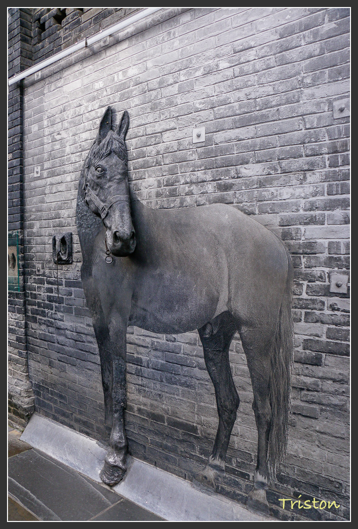 _MG_2823.jpg - 20161013 稻城亞丁