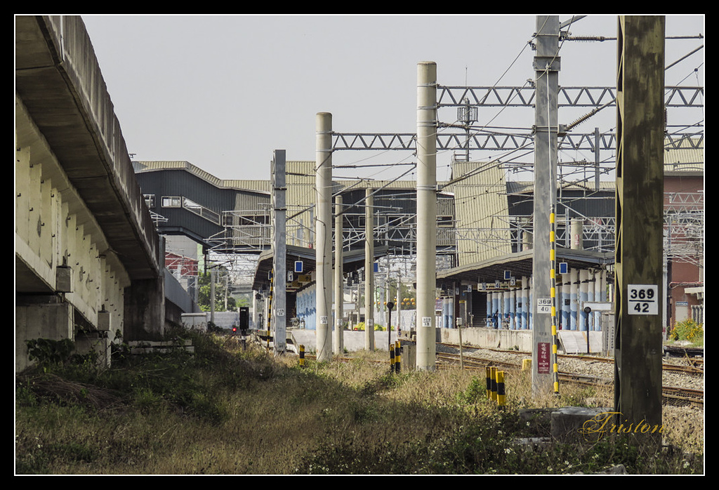 IMG_0057.jpg - 20170327 二層行溪鐵橋+環頸雉