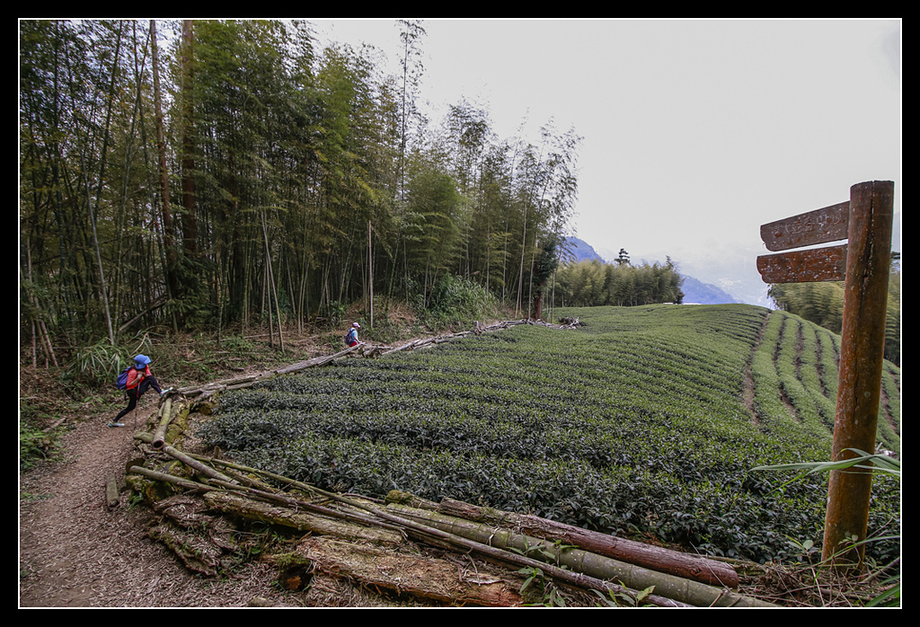 _MG_0164.jpg - 20170408 瑞太古道