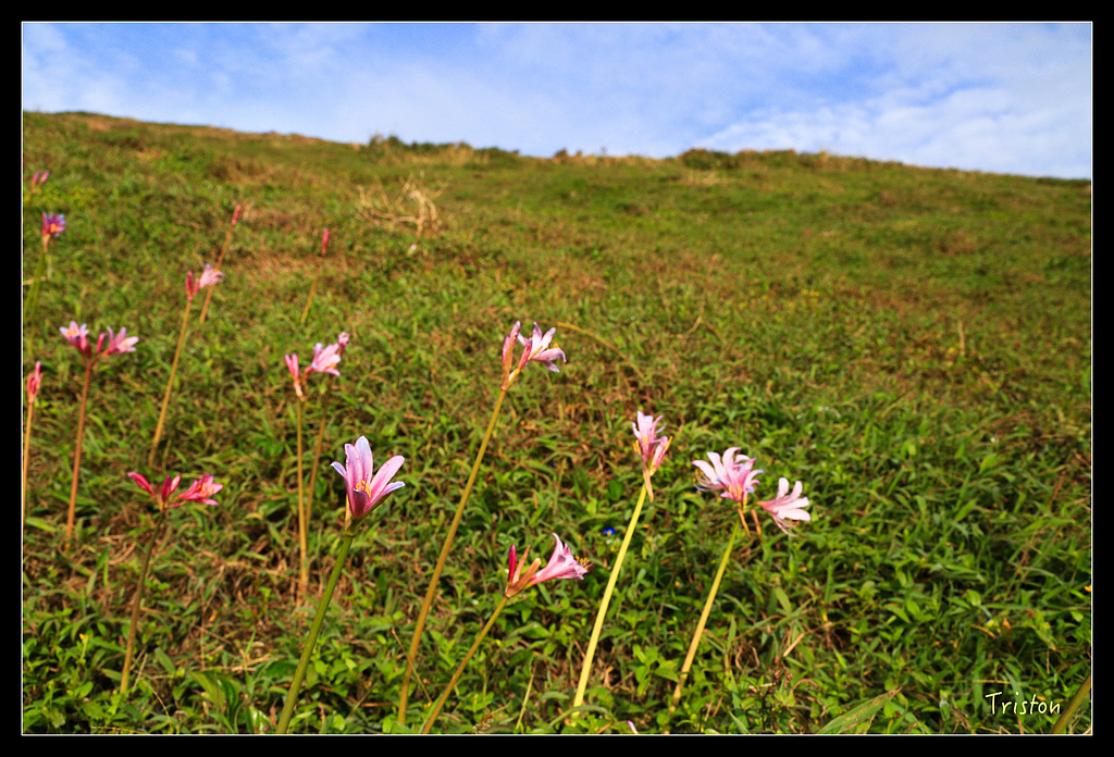 JH1A8308.jpg - 20150814 馬祖之旅