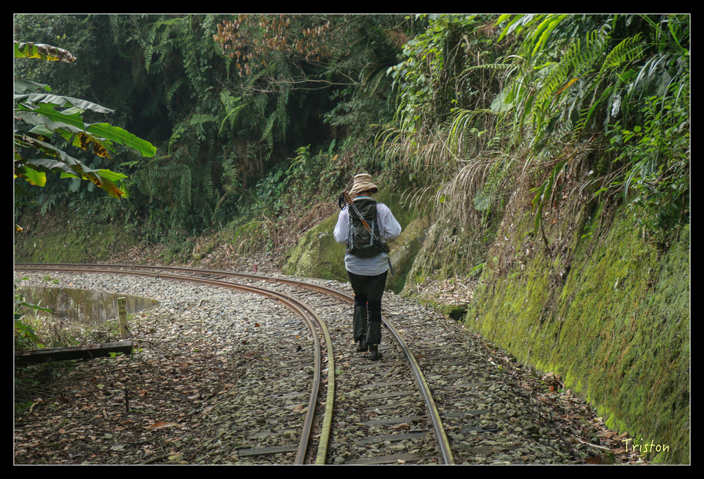 IMG_8502.jpg - 20151012 水社寮,四天王山