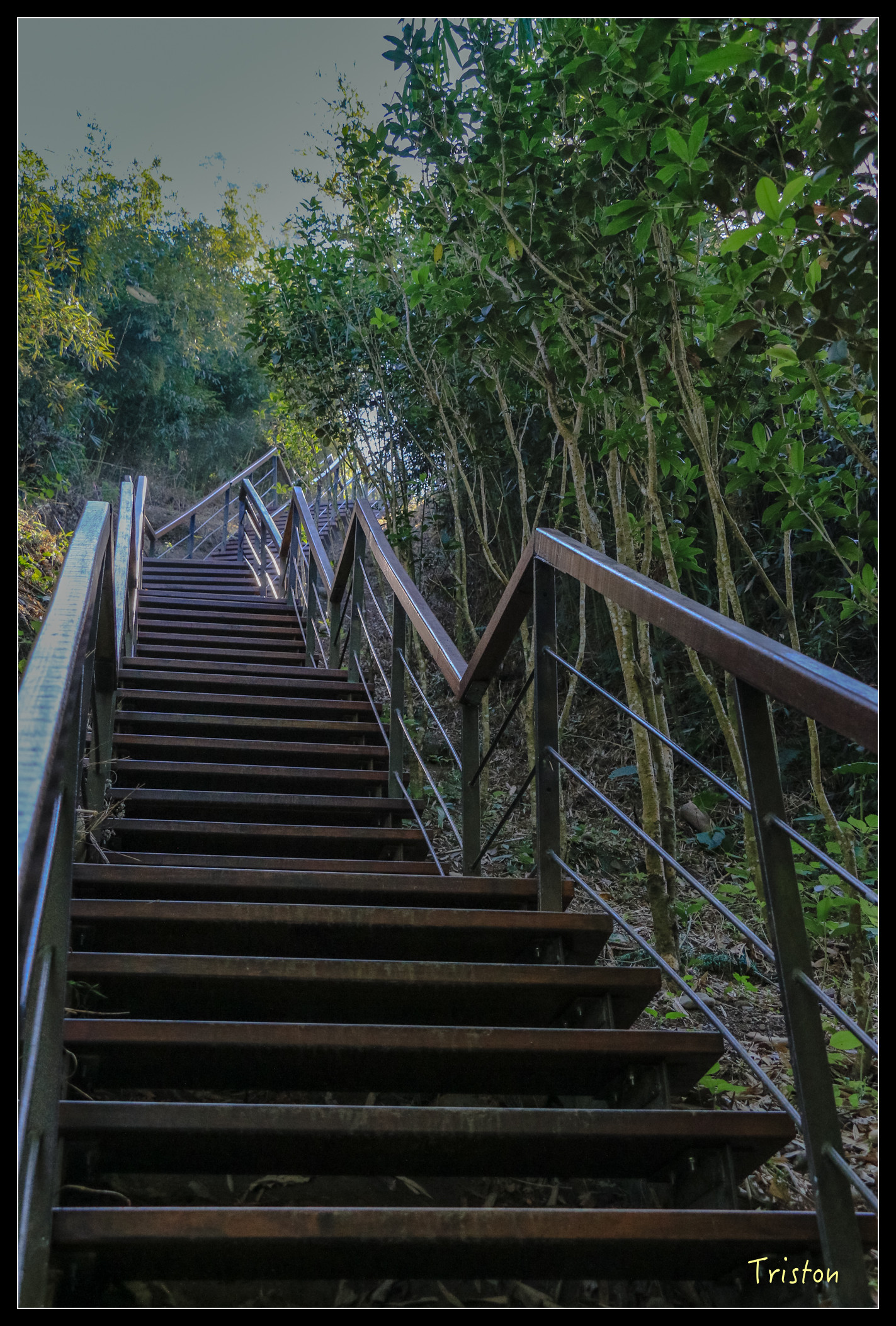 IMG_0357.jpg - 20151214 林內龍過脈步道