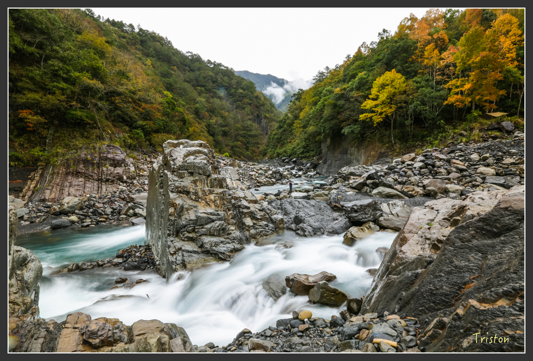 JH1A1162.jpg - 20151221 新竹秀巒賞楓