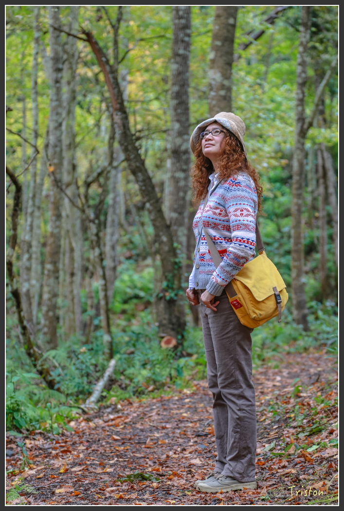 JH1A1210.jpg - 20151221 新竹秀巒賞楓