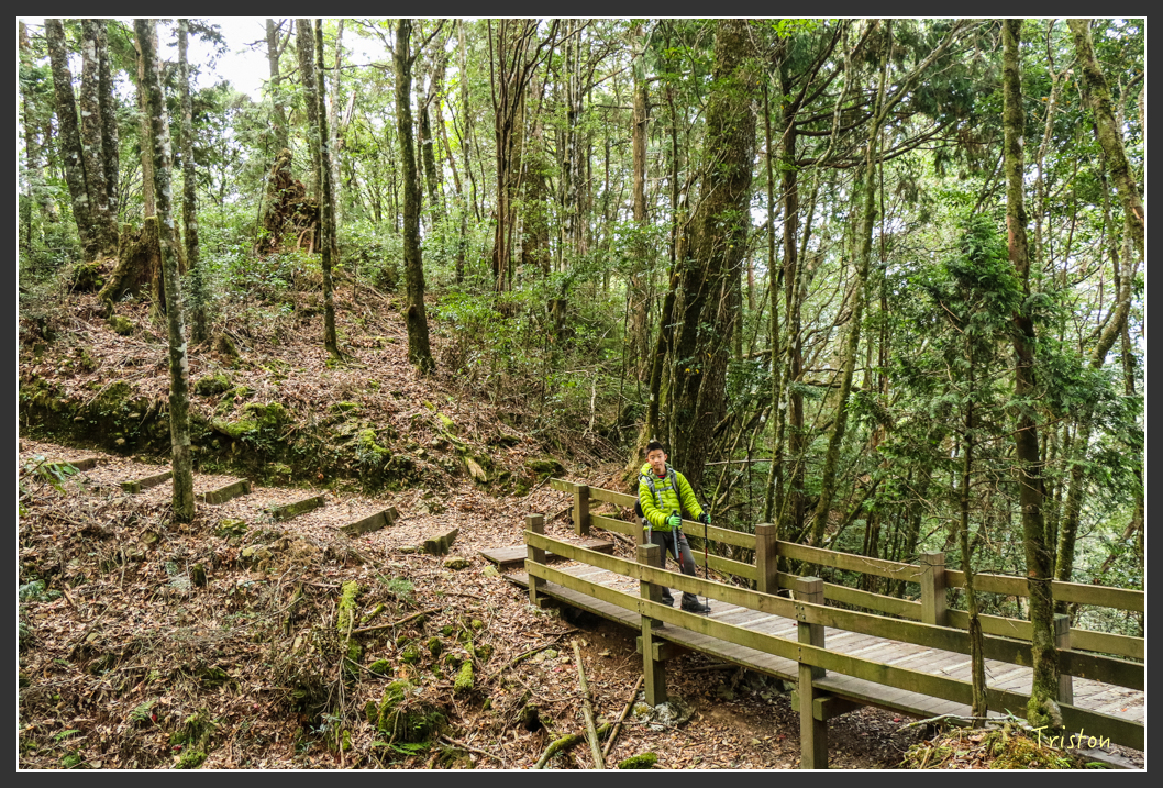 IMG_1125.jpg - 20151219 鳶嘴稍來山、小雪山林道