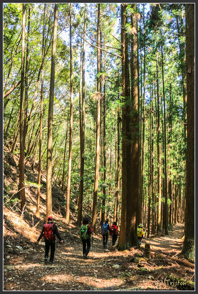 IMG_5145.jpg - 20160323 日本熊野古道健行