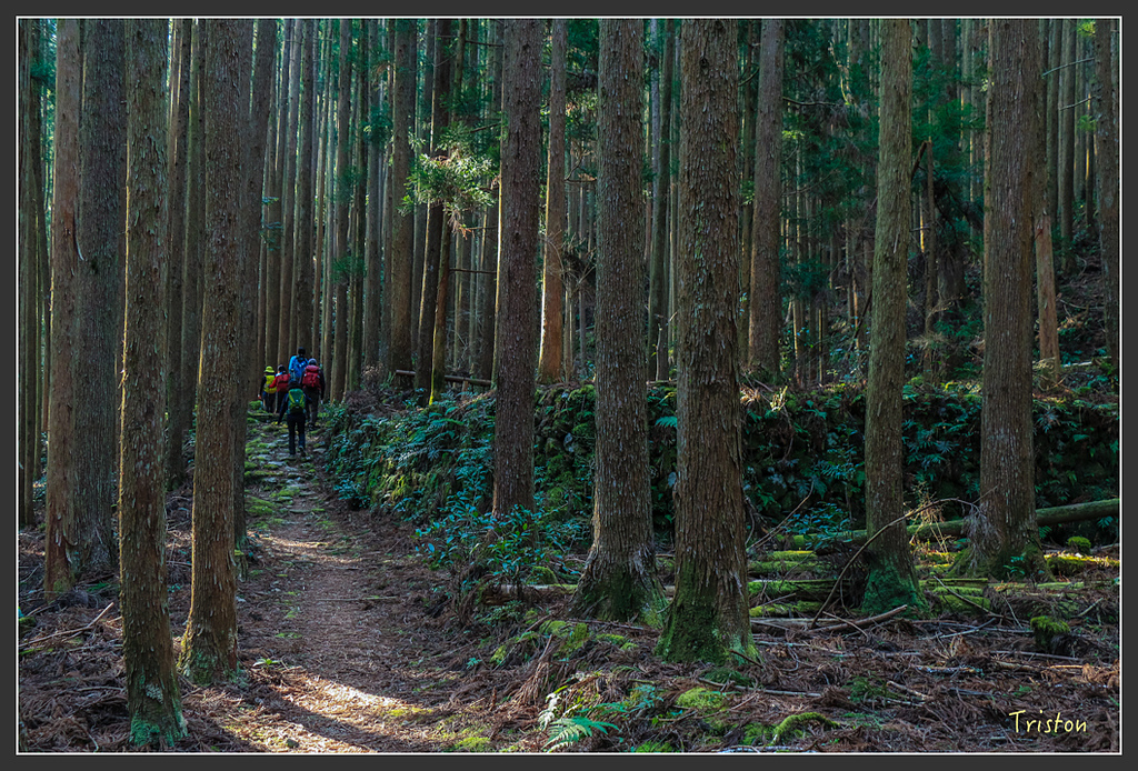 IMG_5369.jpg - 20160323 日本熊野古道健行