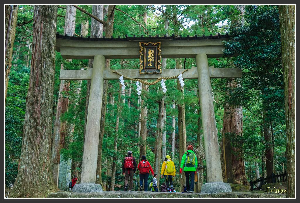 IMG_5693.jpg - 20160323 日本熊野古道健行