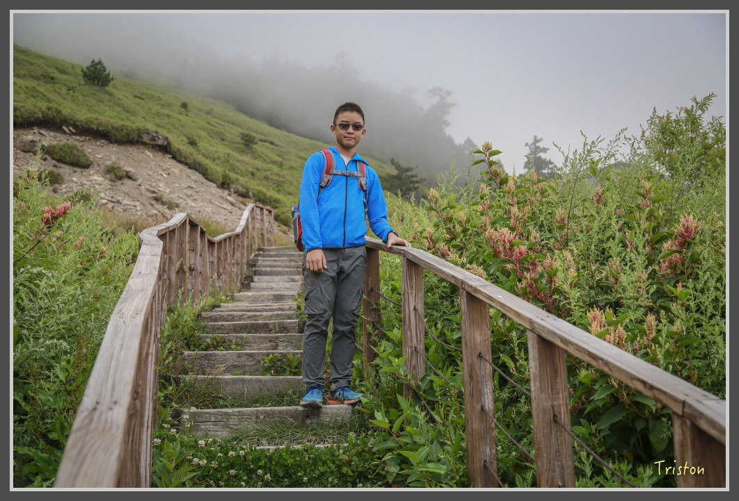 JH1A0233.jpg - 20160806 小奇萊步道、清境國小