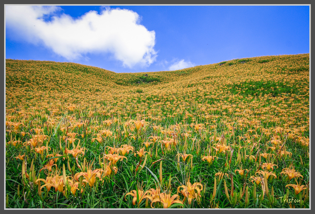IMG-457.jpg - 20160821 中橫花東之旅