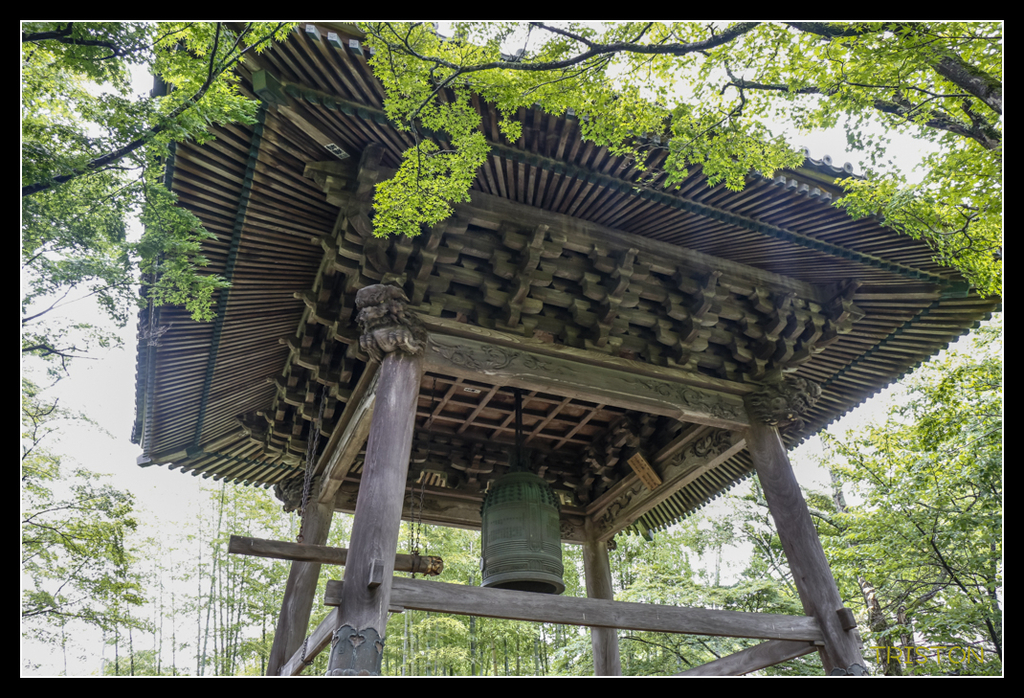 _MG_1149.jpg - 20170702 靜岡東海道之旅