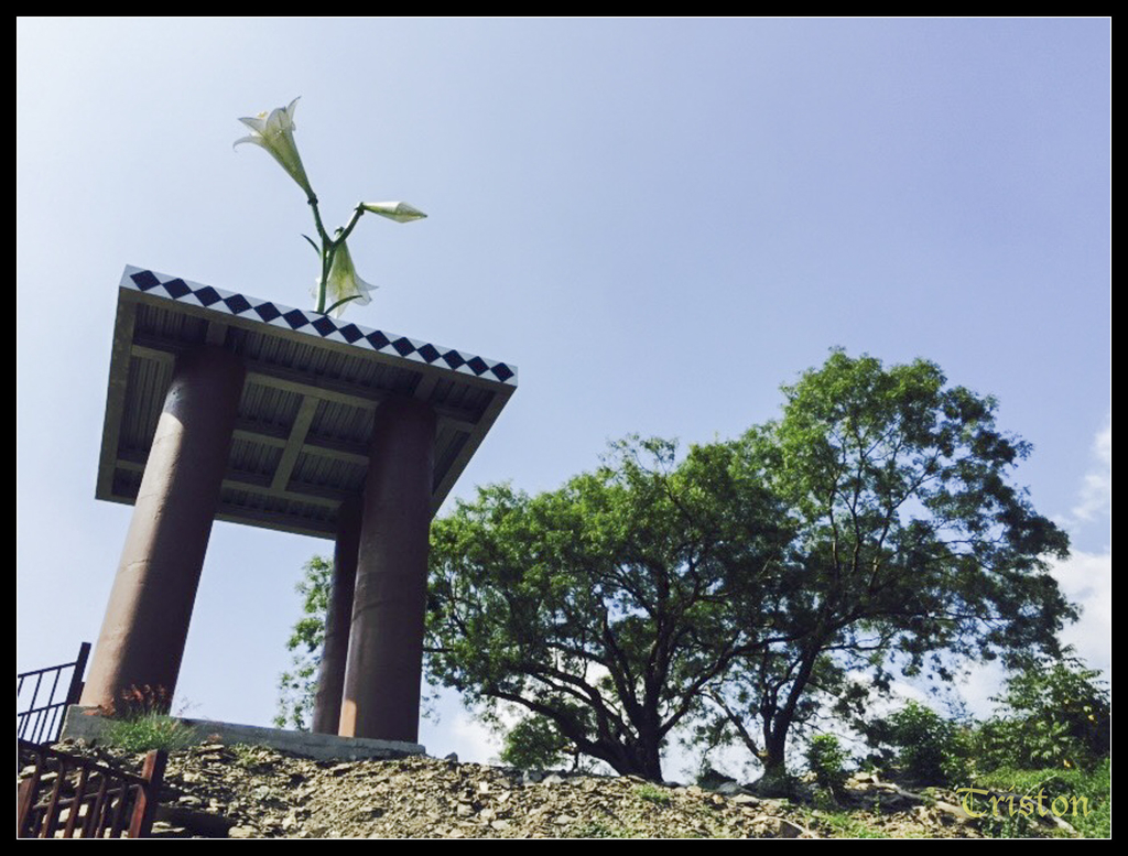 s__2826281_15765462435_o.jpg - 20141111 屏東霧台 神山 一日來往輕旅行