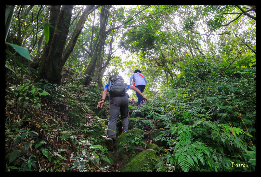 IMG_0542.jpg - 20151107 富士坪古道