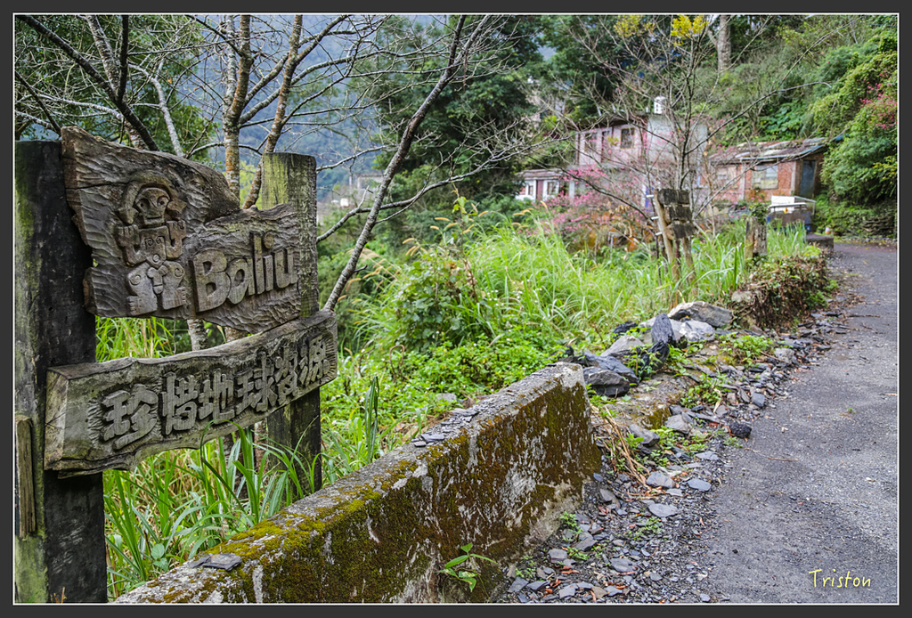 JH1A8200.jpg - 20160111 吉露、阿禮部落