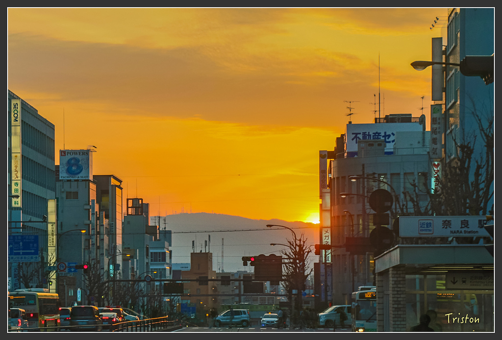 IMG_4259.jpg - 20160323 日本熊野古道健行