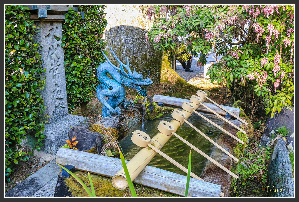 IMG_4881.jpg - 20160323 日本熊野古道健行