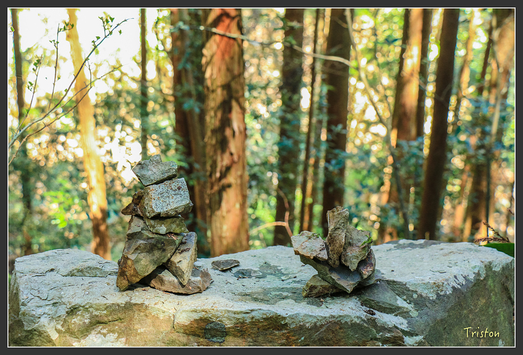 IMG_5157.jpg - 20160323 日本熊野古道健行