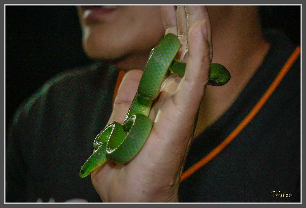 _MG_9243.jpg - 20160717 峰老師夜觀